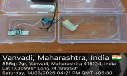 Student Project B.Sc.III 2025-26